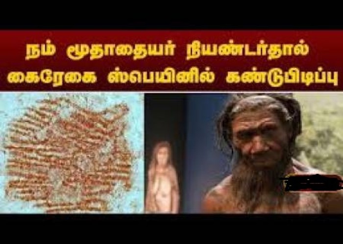 ஒரு கிரானைட் கல்லில் நியாண்டர் தால் மனிதன் ஒருவனின் கைரேகை கண்டறியப் பட்டுள்ளது.