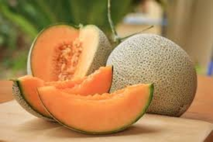 முலாம்பழம் நீர் தன்மை மிகுந்த  பழங்களில் முக்கியமானது 