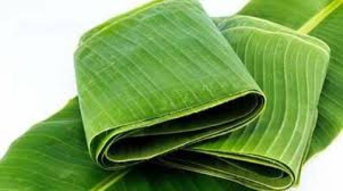 உயிர் வாழ உதவிய வாழை இலை .