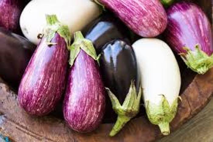 வைட்டமின் அதிகமாக இருக்கும் கத்திரிக்காய்..