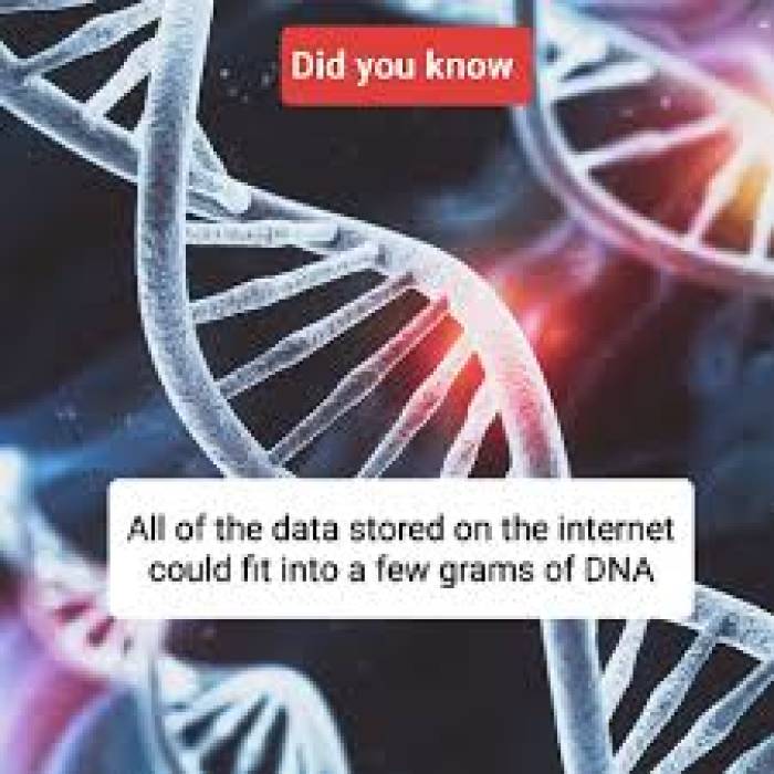 ஒரு தேக்கரண்டி DNA-வில் சேமிக்கப்படும் இணையத் தரவுகள்.