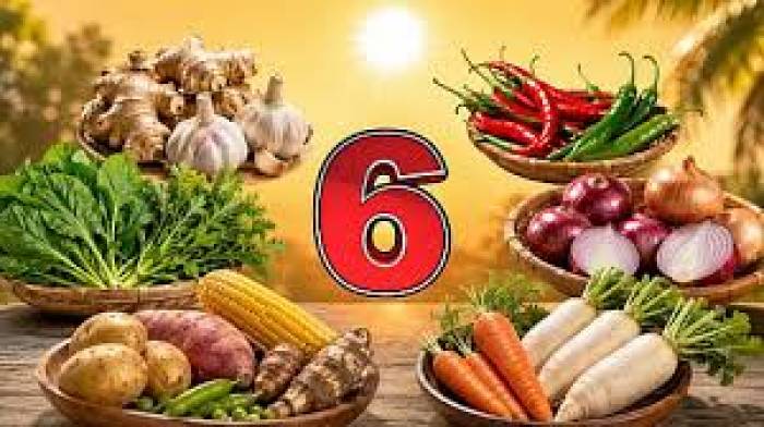 வெயில் காலத்தில் 6 காய்கறிகள் சாப்பிடாதீங்க!!