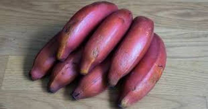 ரத்தக் கொதிப்பு கட்டுக்குள் இருக்க....