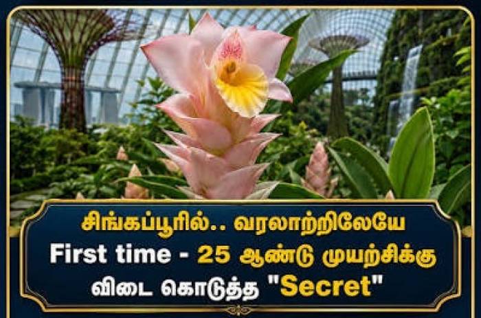 சிங்கப்பூரில்.. வரலாற்றிலேயே First time - 25 ஆண்டு முயற்சிக்கு விடை கொடுத்த 