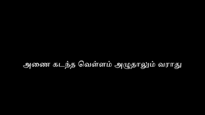 அணை கடந்த வெள்ளம் அழுதாலும் வாராது.